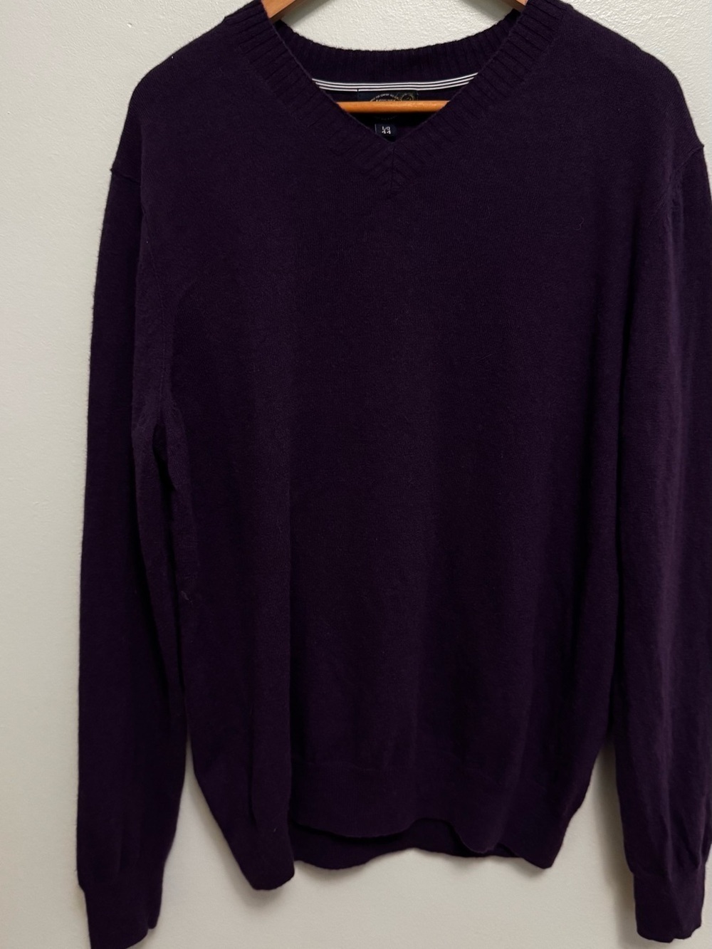 Men's V-Neck Sweater in Deep Plum